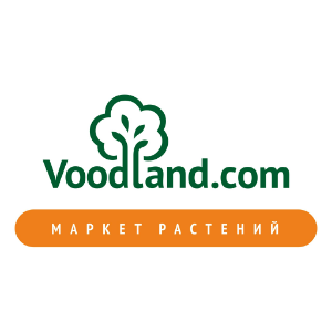 Блог Voodland