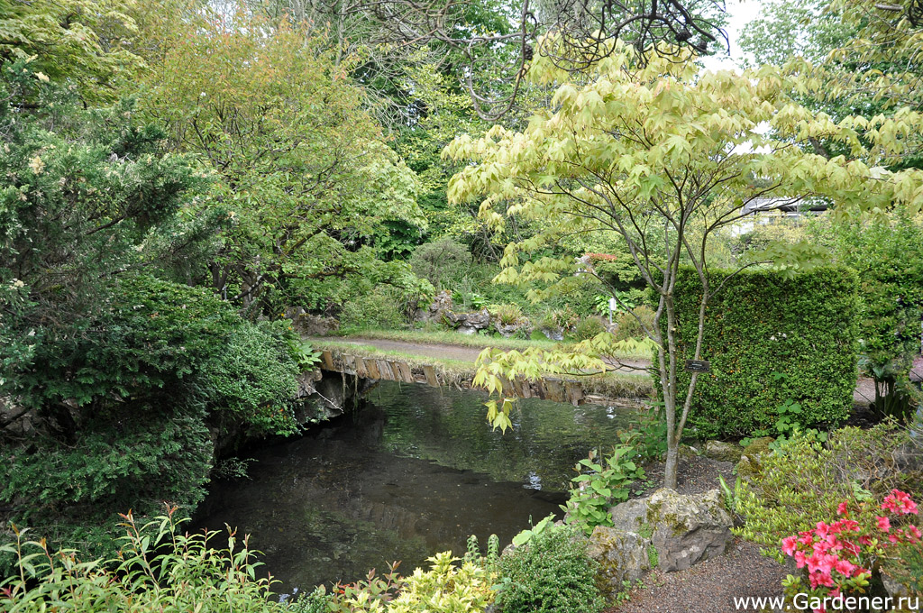 Японский сад Ирландского Национального Конного Завода