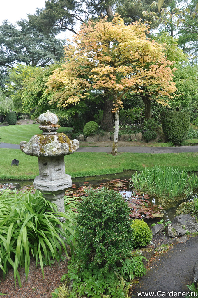Японский сад Ирландского Национального Конного Завода