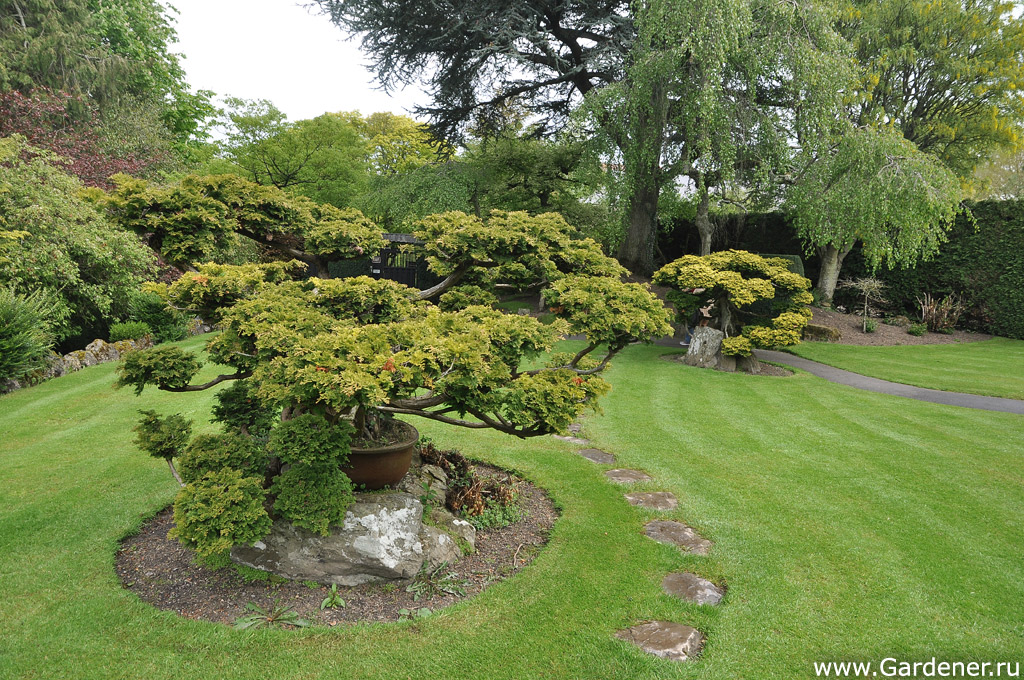 Верховой сад. Японский сад в Ирландии. Верховые сады. Ирландский сад фото. Я конский сад.